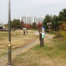 댕댕아 놀자 이미지