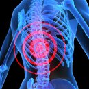 메트로동물병원 이미지