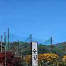 승원능이백숙 | 제천 의림지 근처 승원능이백숙 한방 건강식 맛집 웨이팅 내돈내산