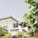 대장천 | 교세라 사무라이 3.0 &amp; 후지 400 | 캐논 뉴오토보이 &amp; 코닥 골드 (아마도)