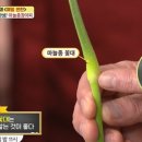 알토란 김하진의 고추장마늘종장아찌, 간장마늘종장아찌 이미지