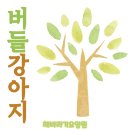 버들강아지 | [해바라기요양원] 인지프로그램 - 실버미술치료(버들 강아지)