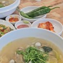 춘천 삼천동 맛집 공지천 근처 광장칼국수 동죽칼국수 실비김치 식당
