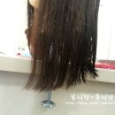 우리 가족 헤어 컷 이미지