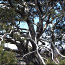 김병관농장 이미지