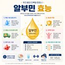 달사슬 | [공지] [내 돈 내산] 만성 피로 달고 살던 직장인의 알부민 효능 한 달 복용 후기