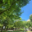 중마루공원 이미지