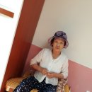 팔봉산로 Daum카페