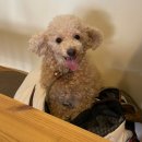 더블루 베이커리 이미지