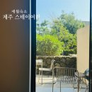 스테이여린 이미지