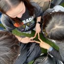 Music of the Spheres 스탠딩 및 지정석 후기 ㅣ콜플 콘서트 3번 가는 사람 저요저요! 이용 꿀팁ㅣ아미...