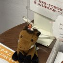 부곡게임장 | 오키나와 남부 더 유인치 호텔 난조 숙소 추천 수영장 세탁