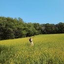 당진시 대덕로 21 이미지