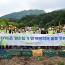 삼태미마을 이미지