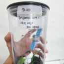 아이엠게코 | 진주 새로운 파충류샵 아이엠게코 방문기
