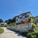 앵무타운 이미지