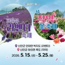 섬글방 | 전남 신안 가볼만한곳, 2026 신안 퍼플섬 라벤더 축제 입장료, 주차요금까지 총정리, 보랏빛 향기 가득...
