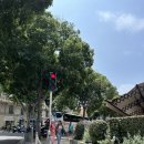 니스해변 | 니스 해변 근처 숙소 - 호텔 칼튼 니스 내돈내산 후기