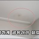 세왕아파트 이미지