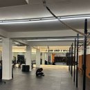 크로스핏 코알라 이미지