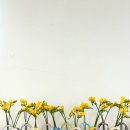 동신대학교 산학협력단 | 나주 동신대학교 산학협력단 힐링 연수｜제스모나이트 화병 만들기 출강 후기