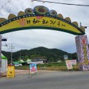 새한쉼터 | [경남 함안] 노란 해바라기 물결 속으로, 함안 강주마을 축제 나들이(2022년09월01일)