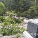 구룡 이미지