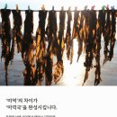 하루끝집 네이버블로그