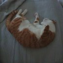 소근진성펜션 | 태안으로 가족 여행 가기 신두리 해수욕장 <소근진성 펜션>