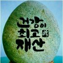 스파시스 이미지