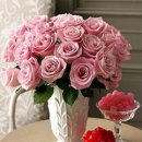 사람과한의원 이미지