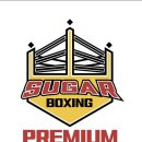 슈가복싱 이미지