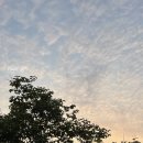 호텔 달(Dal) 이미지