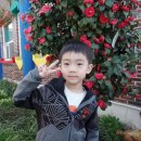 서전주유치원 이미지