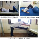 [스포츠의학]햄스트링 파열(Hamstring Strain) 이미지