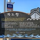 계도(닭섬) 네이버블로그