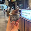 (주)에코플랜츠 | [일상] 쉽게 좌절하는 타입. 하지만 하룻밤만 지나면 다 잊어버림.