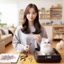 반려동물 이동서비스 | 카카오펫택시 이용 방법과 반려동물 이동 서비스 특징 이용 가이드