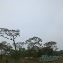 미림조경