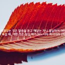 [일주일송] 이 세상 험하고 _ 2024.11.26 _ 화요일에 주신 말씀 이미지