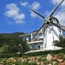 팜트리펜션 이미지