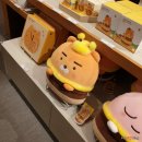 제이에스패밀리 이미지