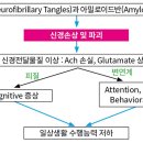 5. 치매(Dimentia)의 병태 생리 2) 치매의 발생 원인에 따른 분류 치매는 단일 질환의 진단명이 아닌 뇌에 영향을 미치는 다양 이미지