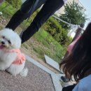 윰이네마켓