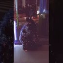 씨채널분평점 이미지