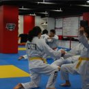 엠티에이태권도 이미지