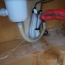 신세계비뇨기과의원 이미지