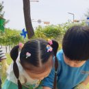 화성유치원 이미지