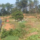 병수네농장 이미지