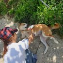 예삐농원 이미지